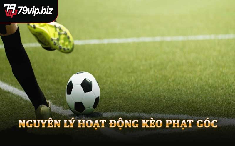 Nguyên Lý Hoạt Động Kèo Phạt Góc